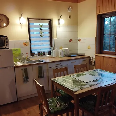 山林小屋 Wakacyjny Lebcz